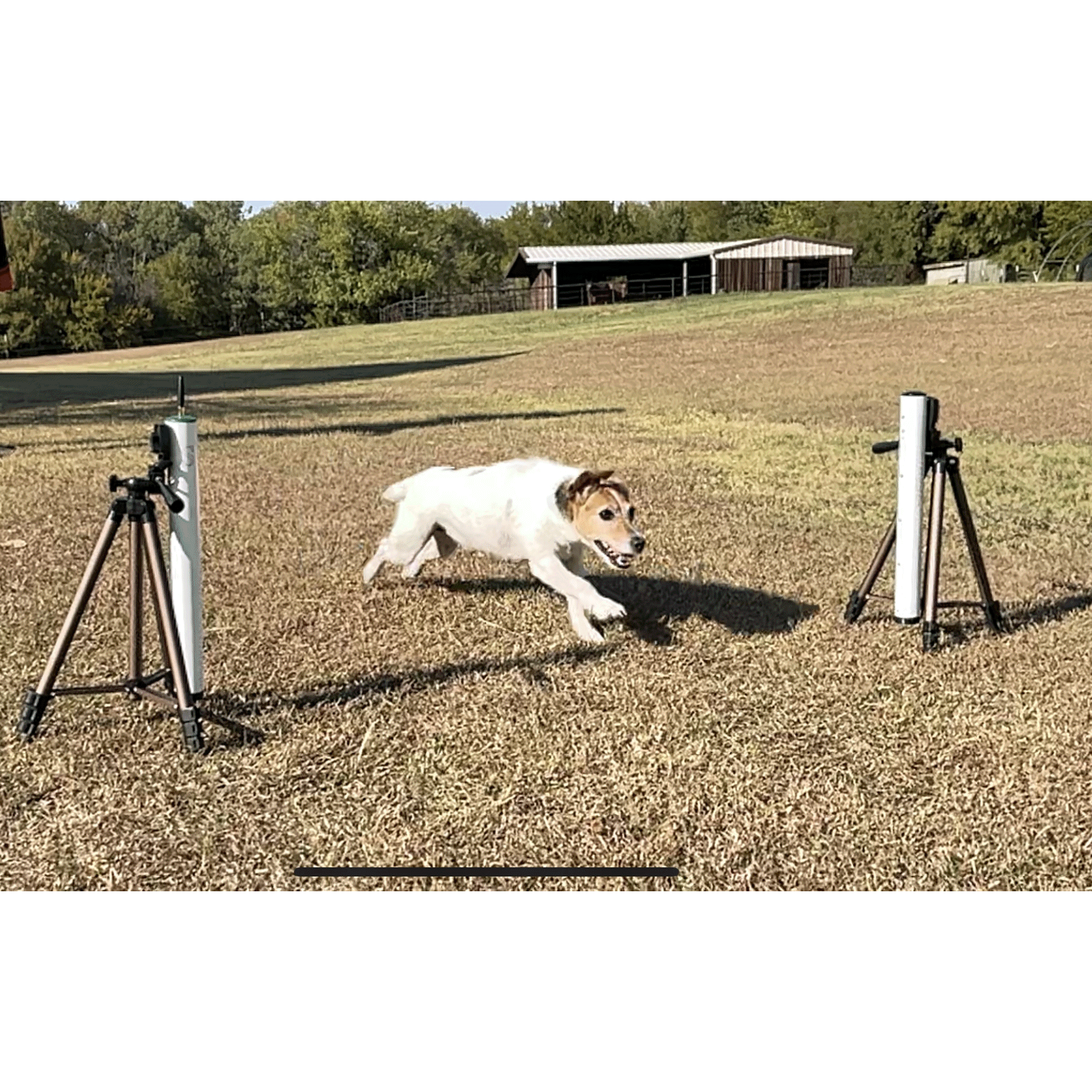 RM-510 Dog Agility/FastCat timer — ArenaGear Sports Timers